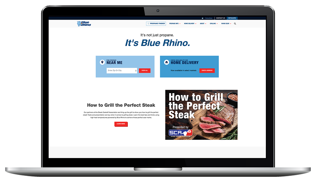 Blue Rhino logo